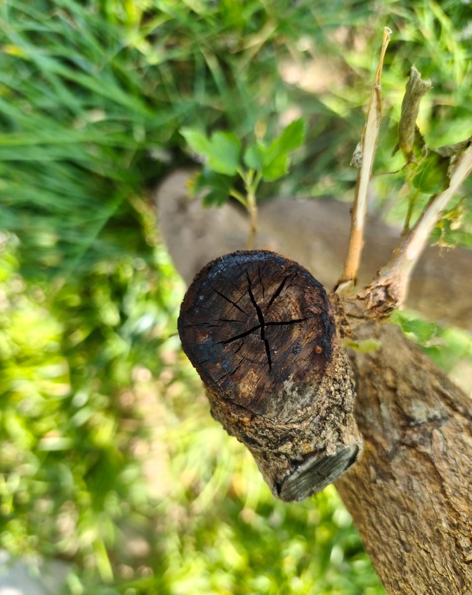 红米REDMI Note 15 Pro+评测:实用主义的终极践行