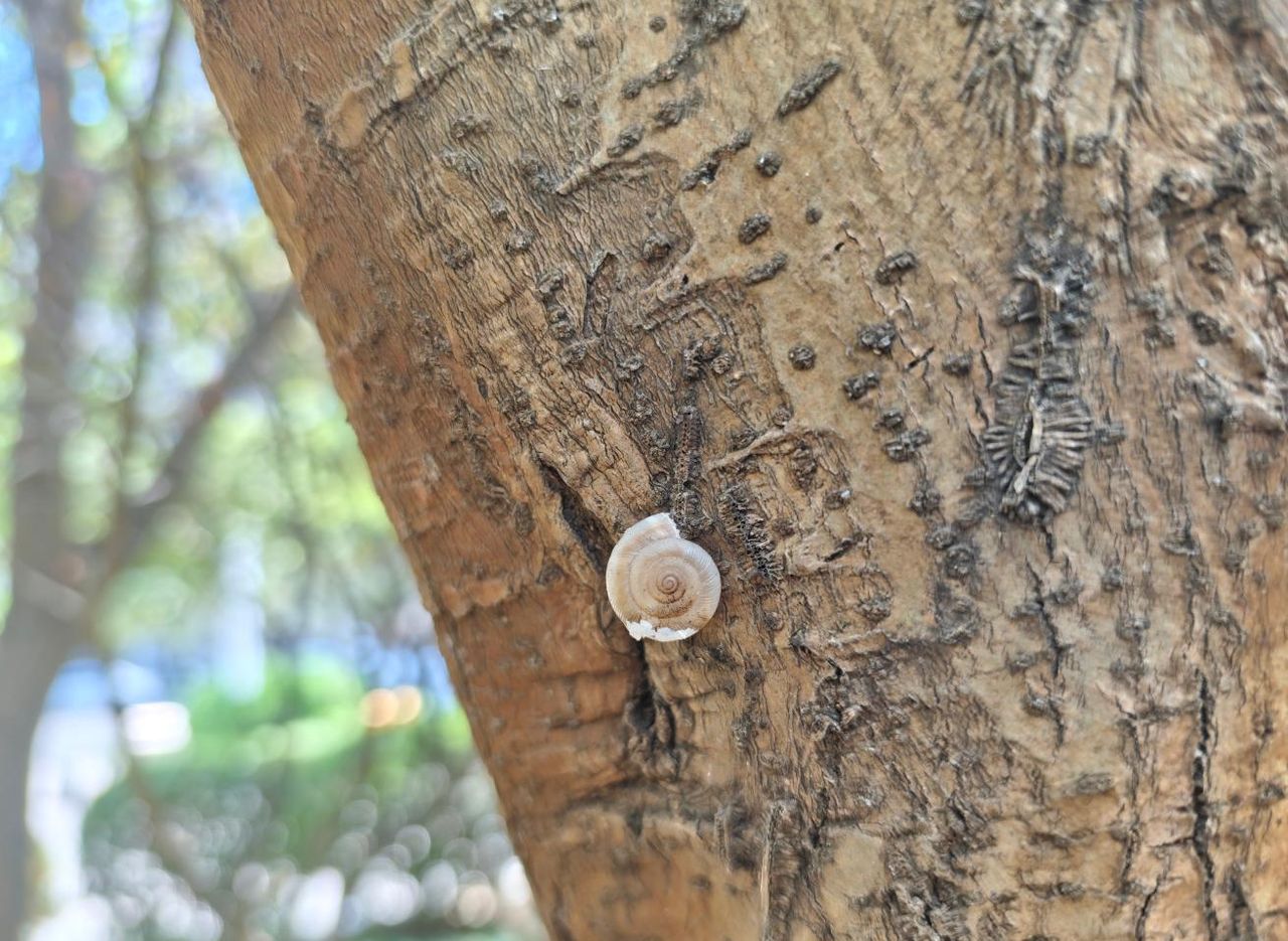 红米REDMI Note 15 Pro+评测:实用主义的终极践行