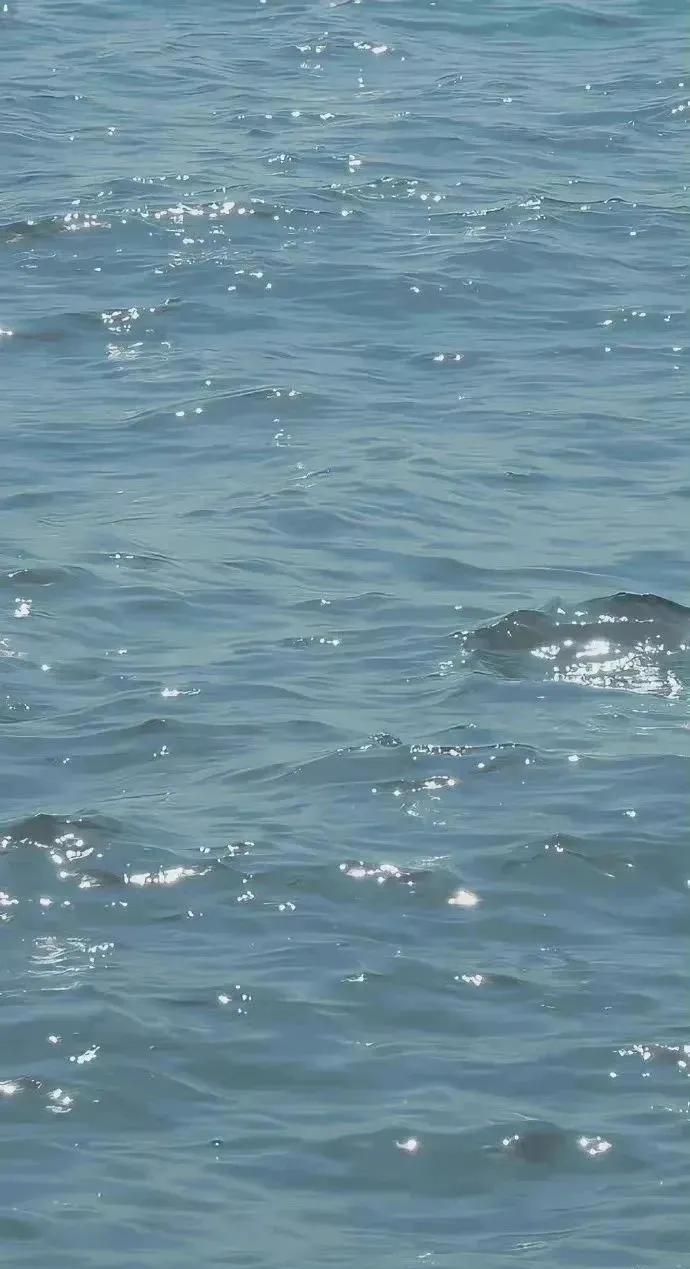 透明感手机壁纸｜3.28