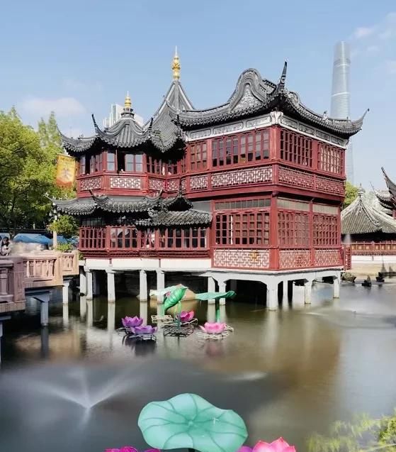 iPhone 12 相机操作指南，用好了随手一拍就是大片