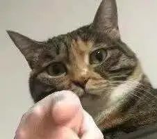 出事了！小米手机上这种骚功能，要被干掉了