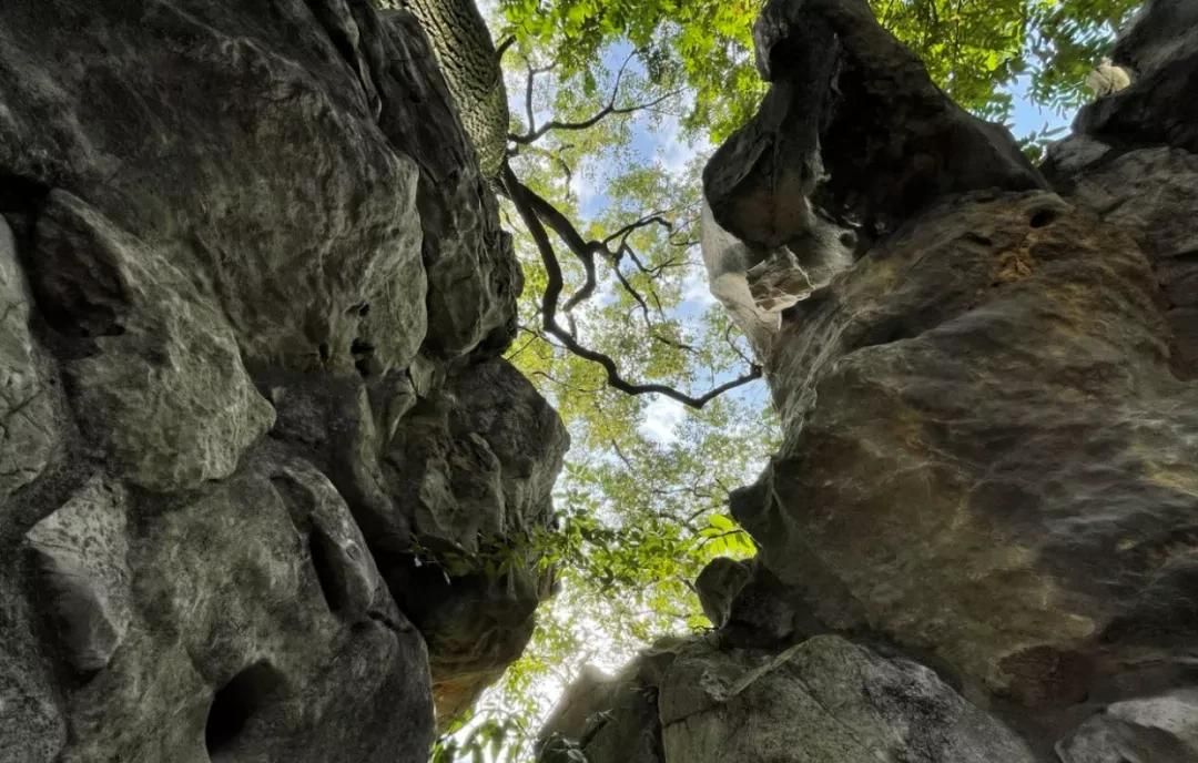 iPhone 12 相机操作指南，用好了随手一拍就是大片