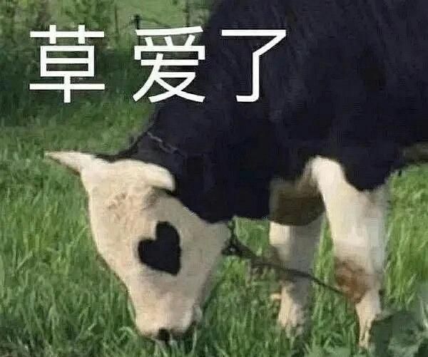 华为推出“系统云翻新”功能，旧手机能再战十年？