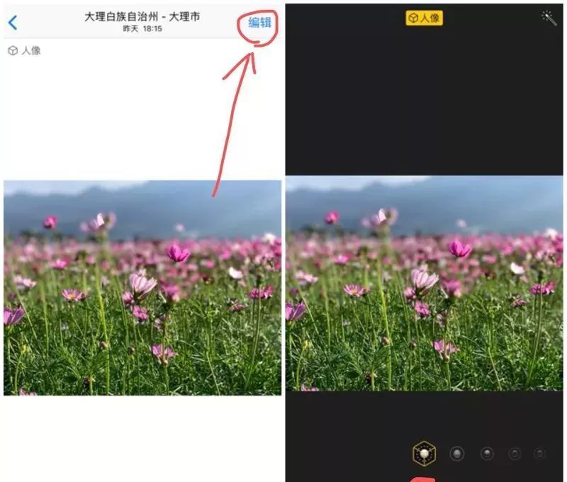 iPhone手机拍照操作指南