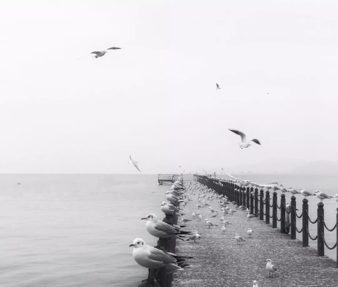 iPhone手机拍照操作指南