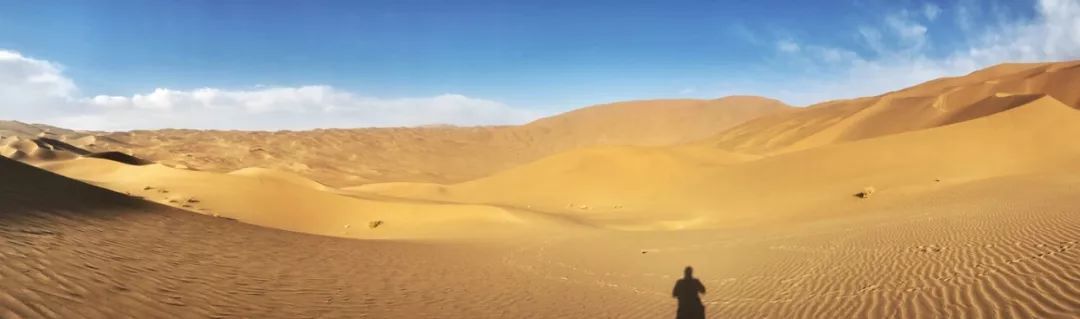 iPhone手机拍照操作指南