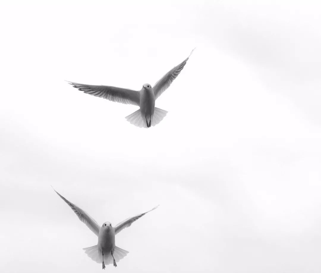 iPhone手机拍照操作指南