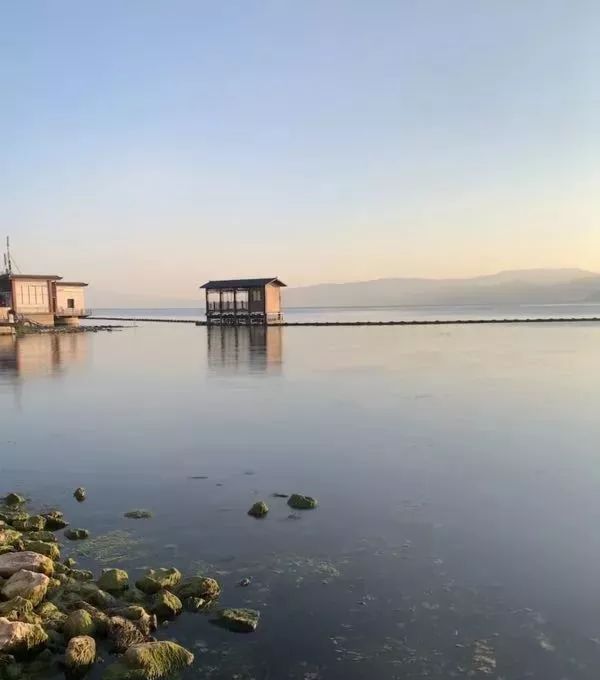 iPhone手机拍照操作指南