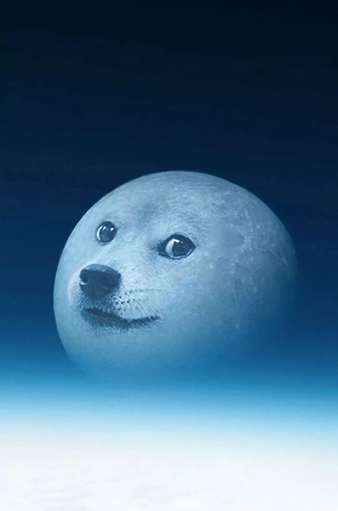 iPhone壁纸 | 手机主屏+锁屏套图