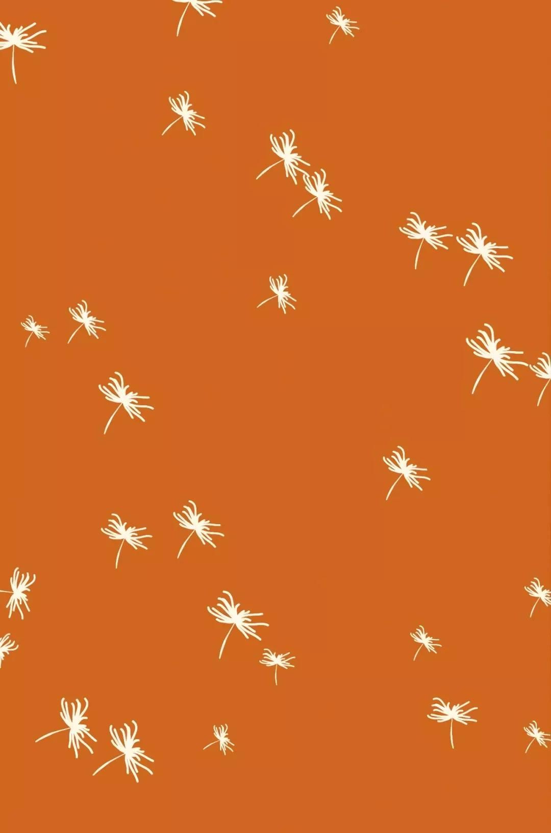 iPhone壁纸 | 手机主屏+锁屏套图