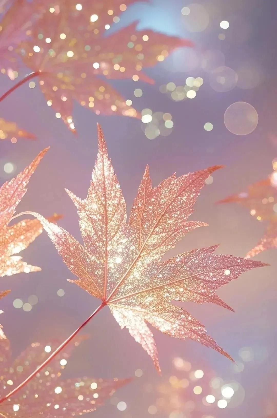 微信该换聊天背景啦！总有一款你喜爱～