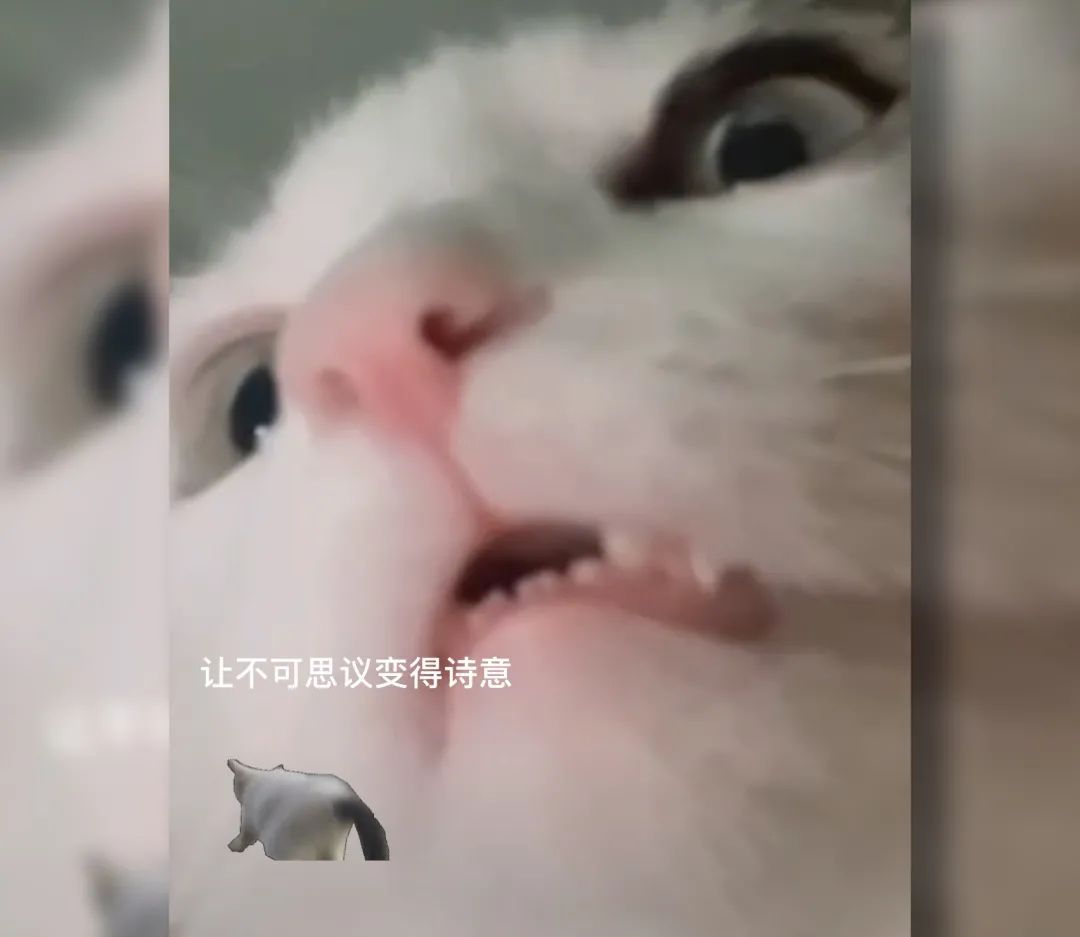 微信更新新功能，用上后世界瞬间清静