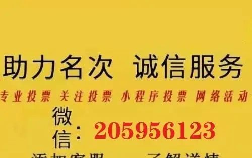 简单说说微信投票怎么收费:如何怎么机智地花钱进行网上投票 - 宋马