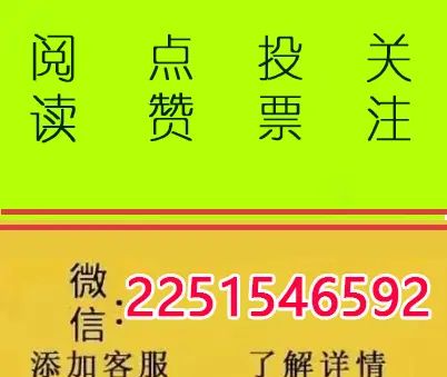 微信视频号点赞,微信视频号点赞的视频怎么向好友推送 - 宋马