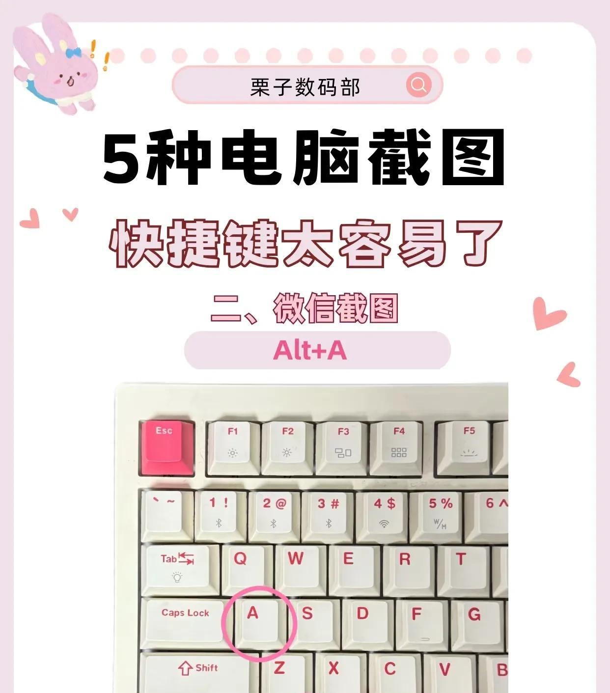 5个截图神技，让你工作效率翻倍！职场人必备，告别截图烦恼