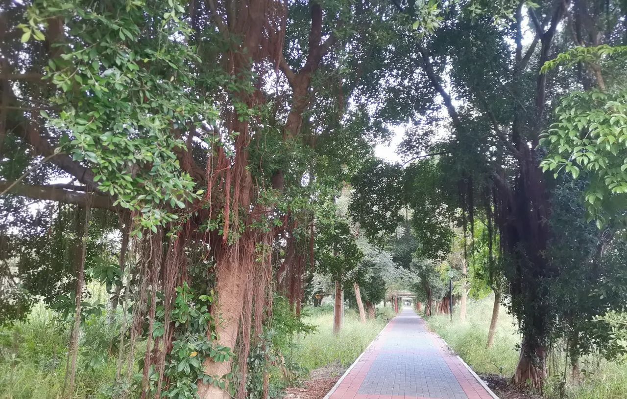 请给最爱的人改昵称