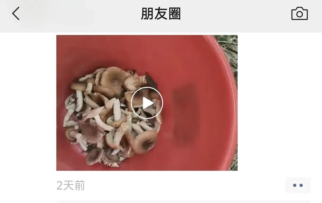 手滑删了微信好友？4招方法加回来！最后一招连验证都不用