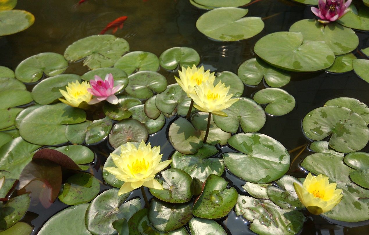 除了“大“”快“人心，360 N4S手机还有什么