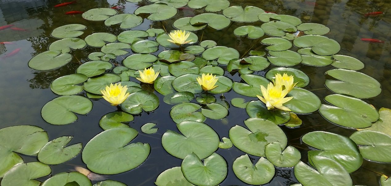 除了“大“”快“人心，360 N4S手机还有什么