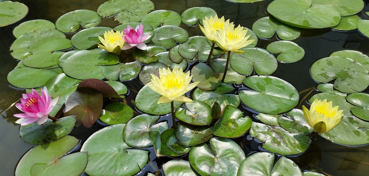 除了“大“”快“人心，360 N4S手机还有什么