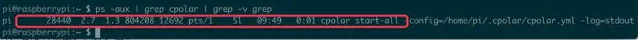 内网穿透家中的Armbian，开机自启动