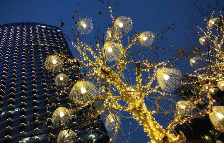 三零手机魅族 18 系列如何选？选小屏旗舰还是大屏航母？