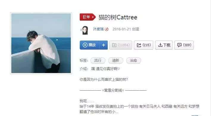 【音频】视频自媒体Vlog BGM音频素材包合集