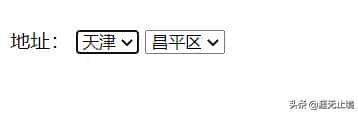 超文本标记语言表单标签详解,教你如何合理利用表单收集用户信息