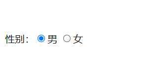 超文本标记语言表单标签详解,教你如何合理利用表单收集用户信息