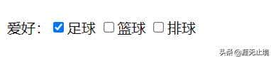 超文本标记语言表单标签详解,教你如何合理利用表单收集用户信息