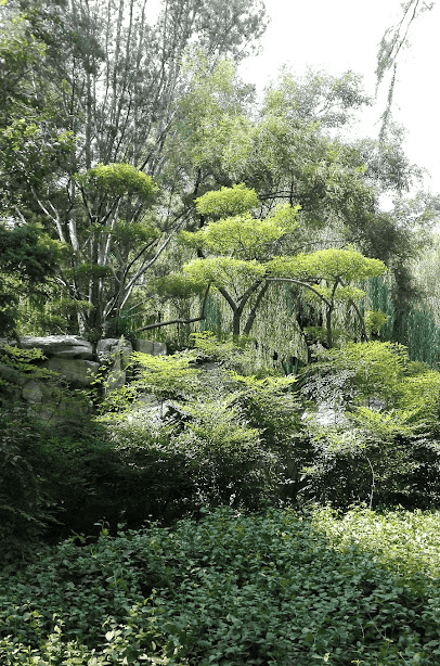 The BPF-programmable network device - 宋马