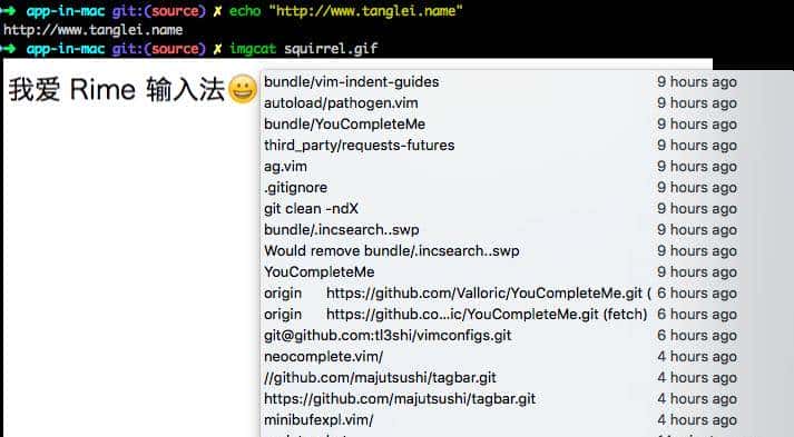 优秀的程序员是如何利用工具来提升工作效率的？