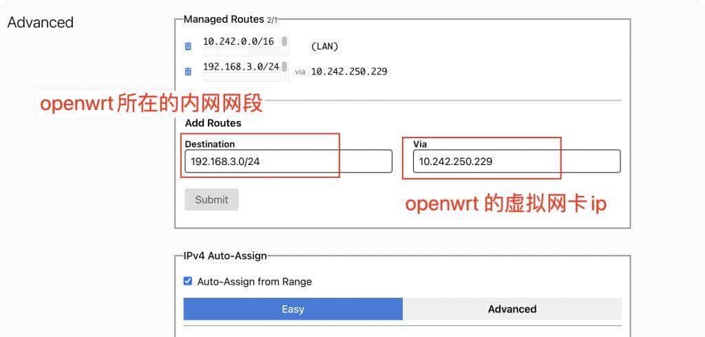 Zerotier + Openwrt异地组网高阶配置