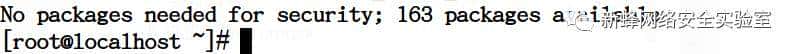 Linux系统安全加固防攻击技术