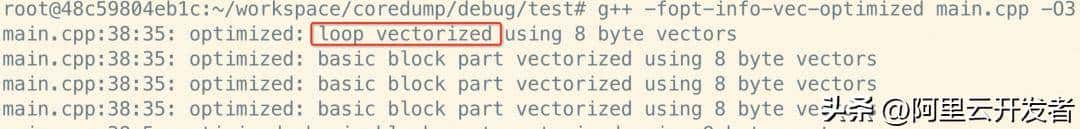 从一个崩溃问题展开，探索gcc编译优化细节