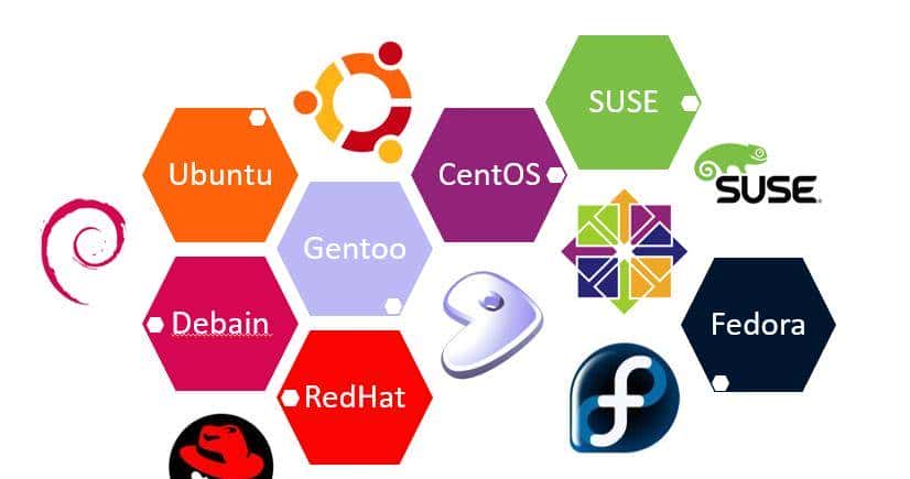 信息学奥赛-CSP初赛J1知识汇总：操作系统的基本概念及其常见操作