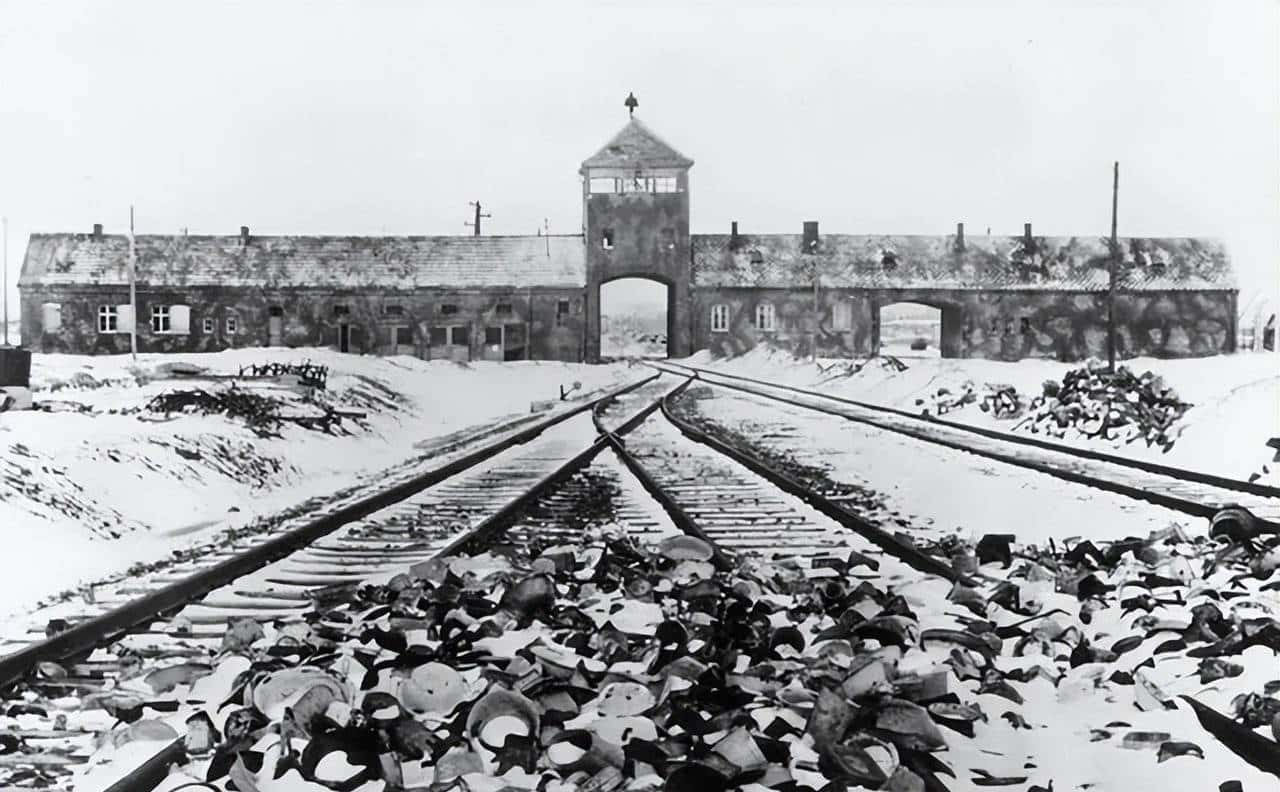 浅析语言本源之问:《波斯语课》的音画之韵与存在之思