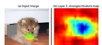 用Python可视化卷积神经网络