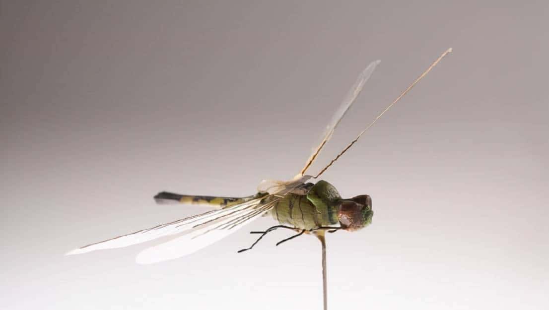 「游戏内外」超短裙JK+美少女机甲，红警3单位原型（帝国步兵篇）