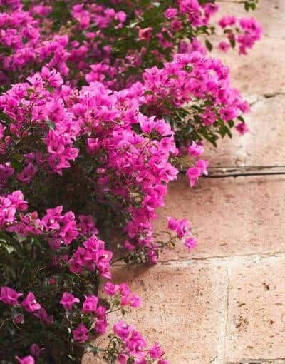 stop doing sth与 stop to do sth辨析