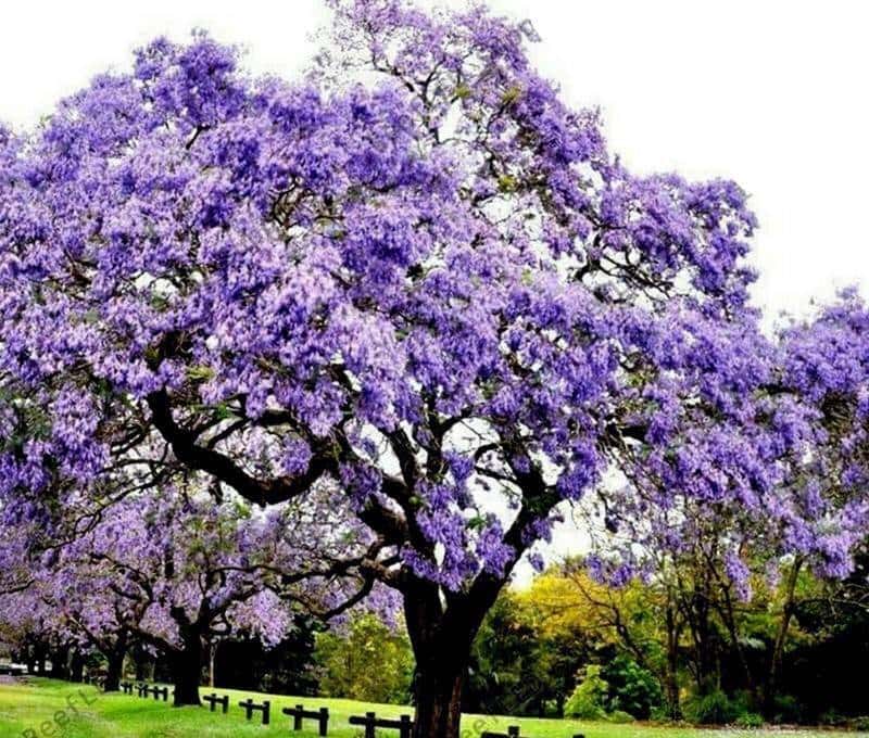 stop doing sth与 stop to do sth辨析