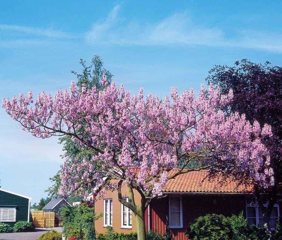 stop doing sth与 stop to do sth辨析