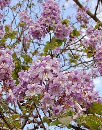 stop doing sth与 stop to do sth辨析