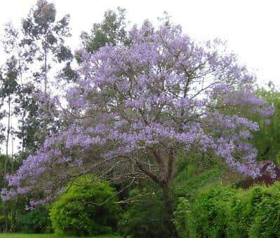 stop doing sth与 stop to do sth辨析