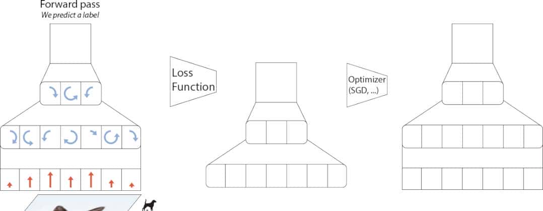 让AI自己调整超参数,谷歌大脑新优化器火了,自适应多种不同任务