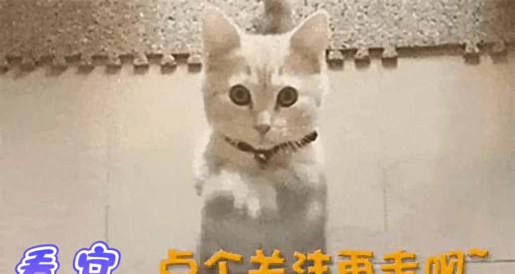 百度开源PaddleOCR-VL，以精准解析重塑文档智能边界 - 宋马