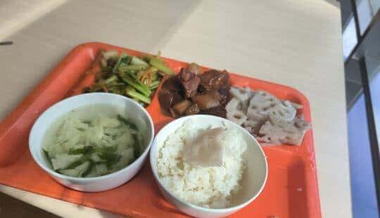 感觉成长的超快-ruoyi python开发记录-1 - 宋马