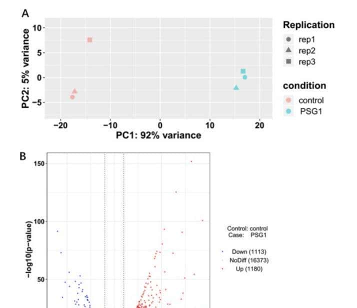 如何利用rna测序，对不同牛组织中的性别二态基因进行全面鉴定？