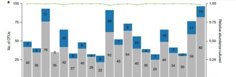 如何利用rna测序，对不同牛组织中的性别二态基因进行全面鉴定？