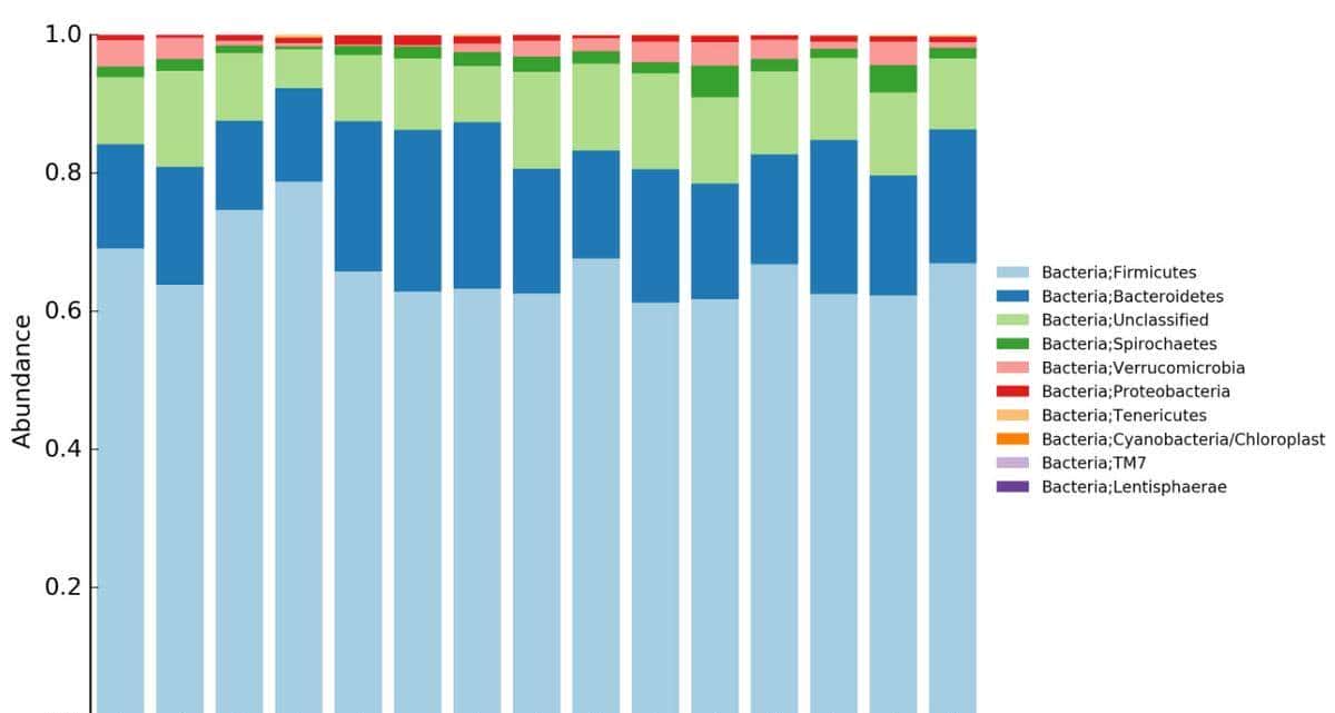 如何利用rna测序，对不同牛组织中的性别二态基因进行全面鉴定？